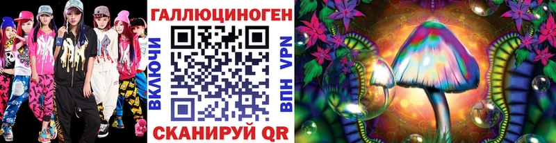 Купить где  Аркадак  Галлюциногенные грибы Cubensis 
